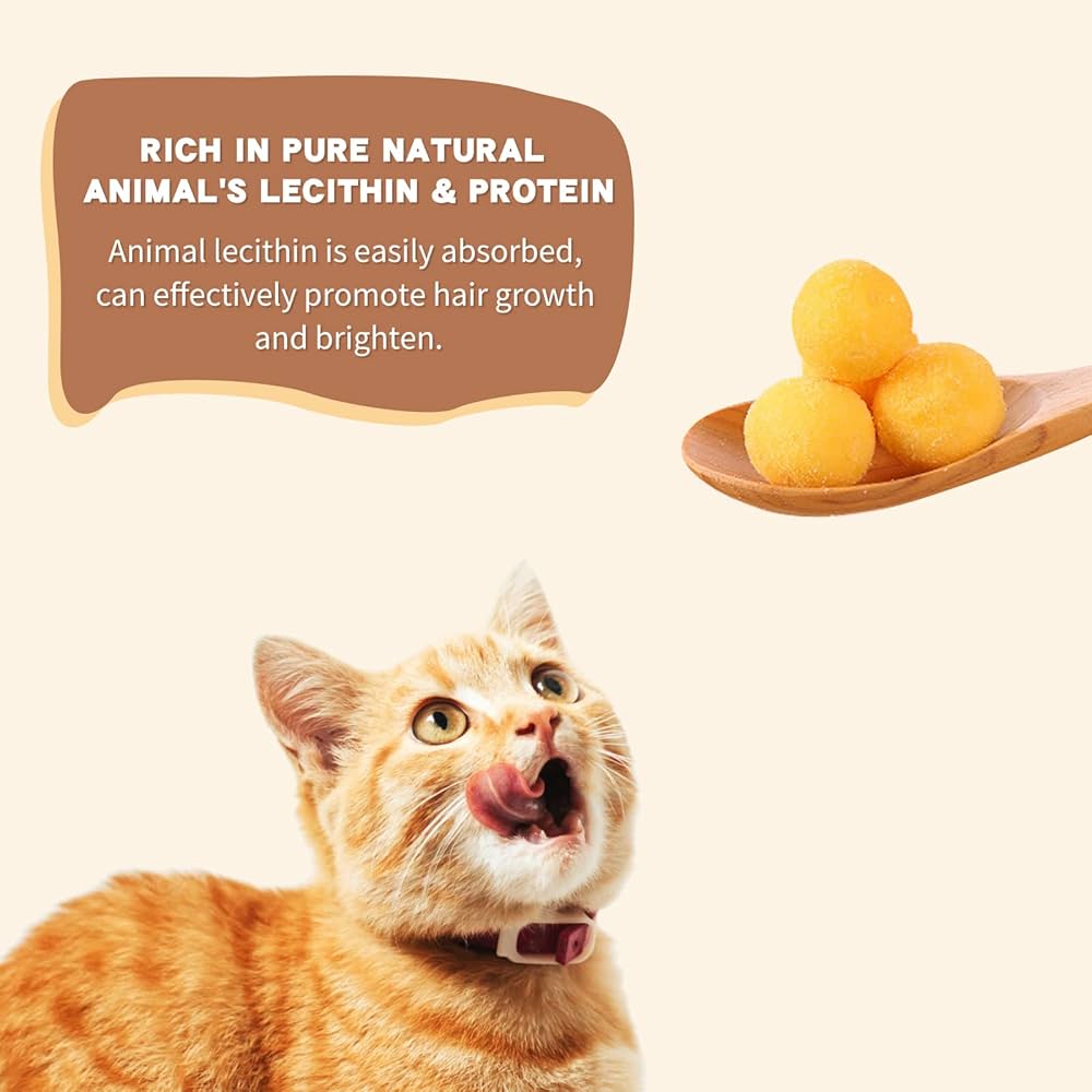 Effective Ways to Improve Your Cat's Urinary Diet in 2025