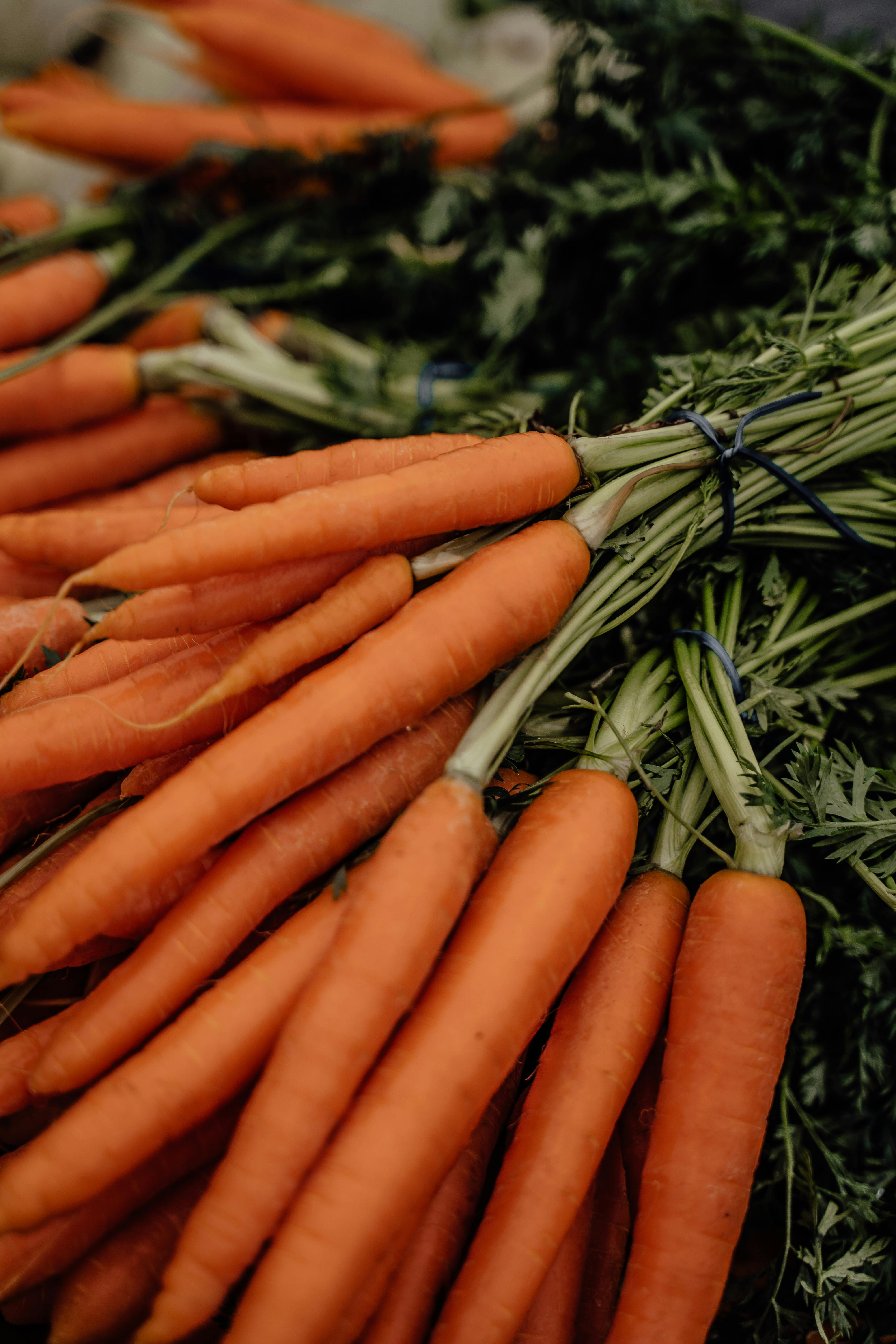 Simple Guide to Bland Diet for Men: Discover Effective Options