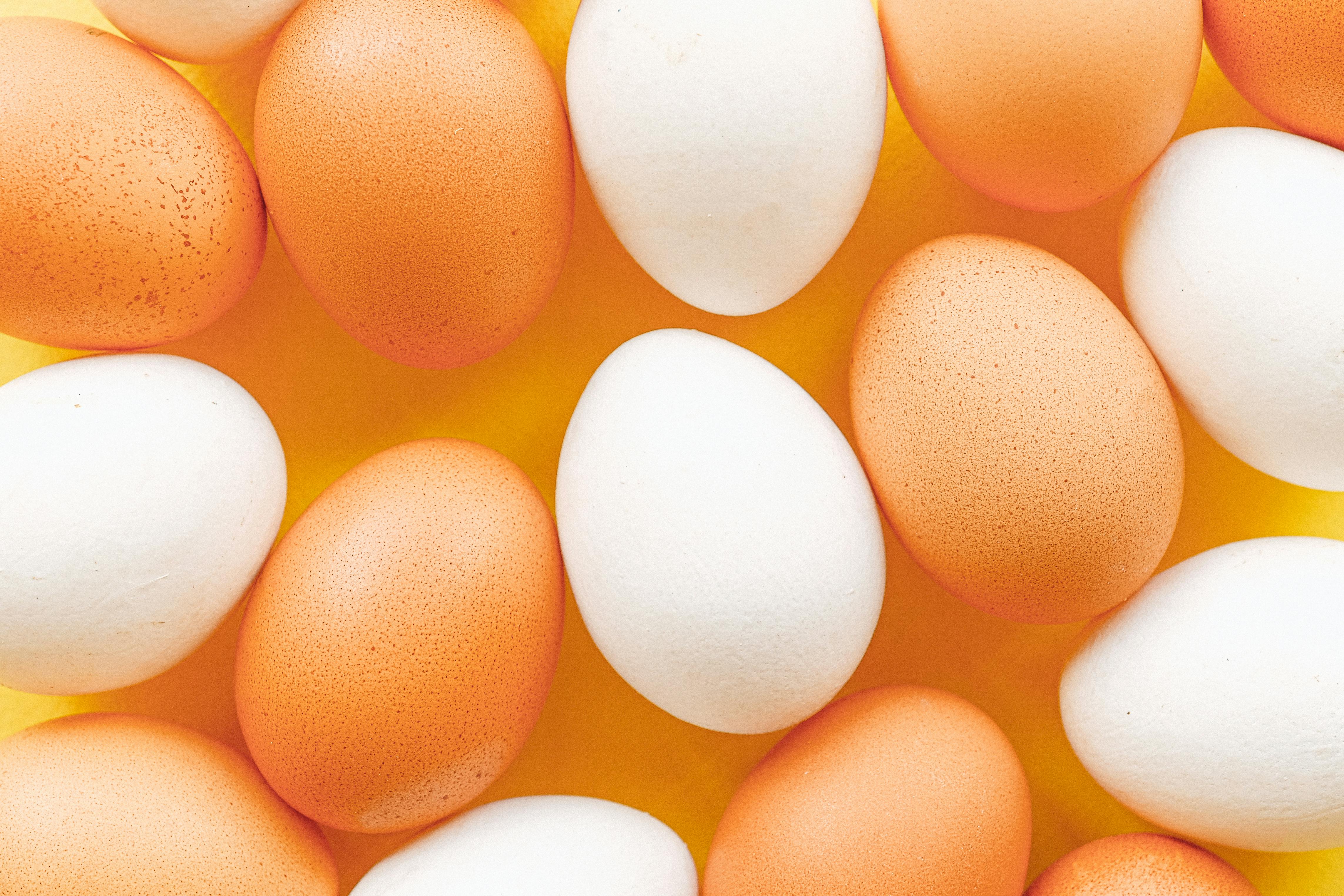 Effective Ways to Feed Your Clownfish: Essential Tips for 2025