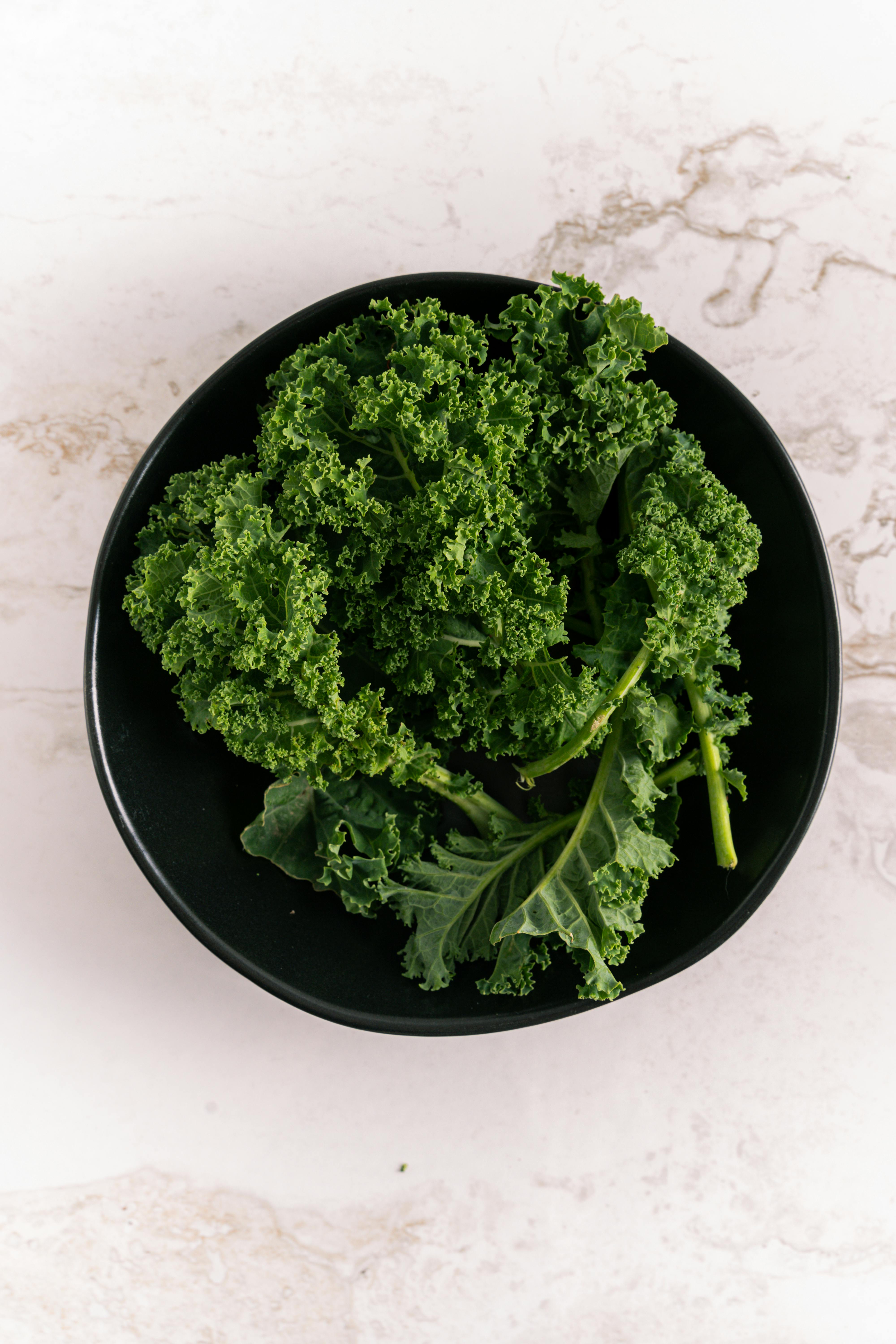 Effective Ways to Optimize Shark Tank Diet Gummies in 2025