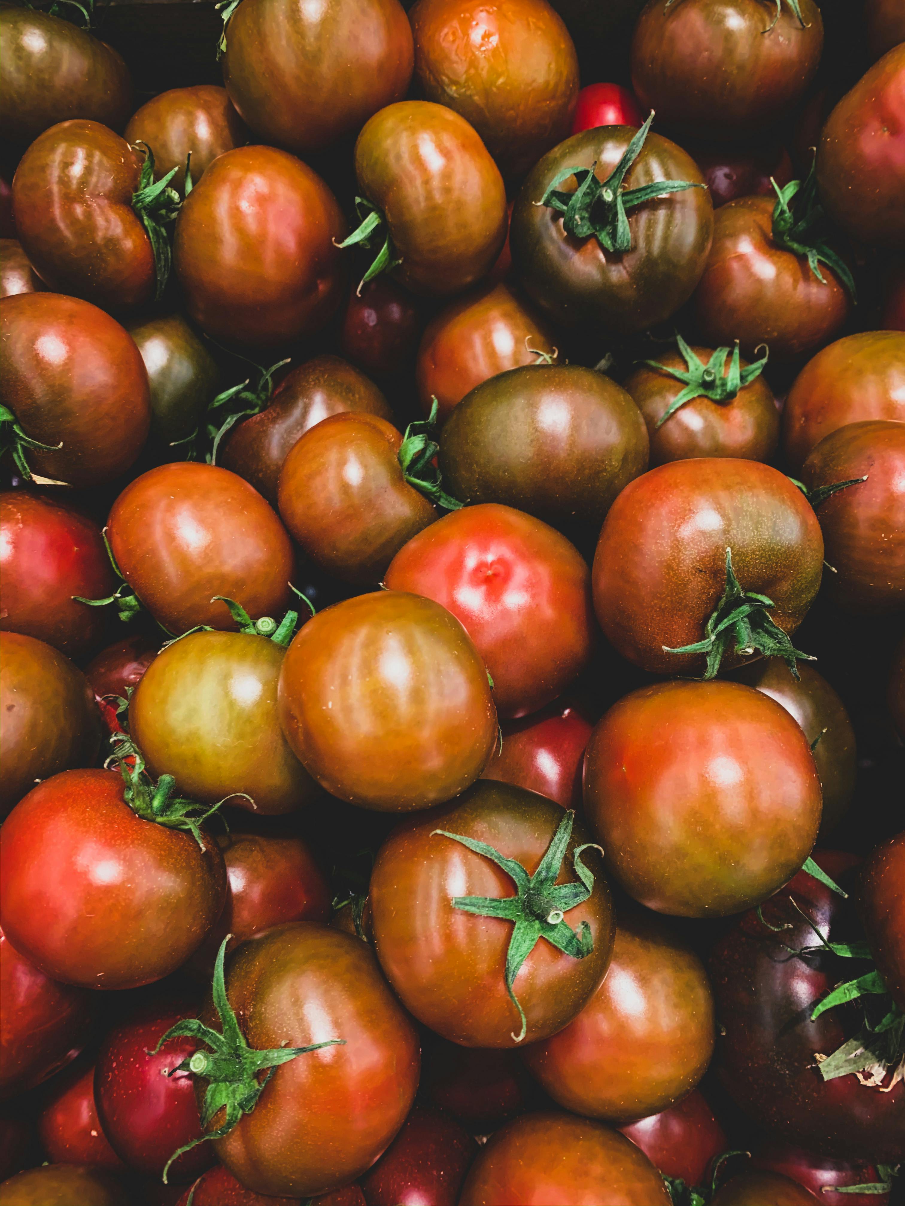 Best 7 Elimination Diet Recipes to Succeed in 2025
