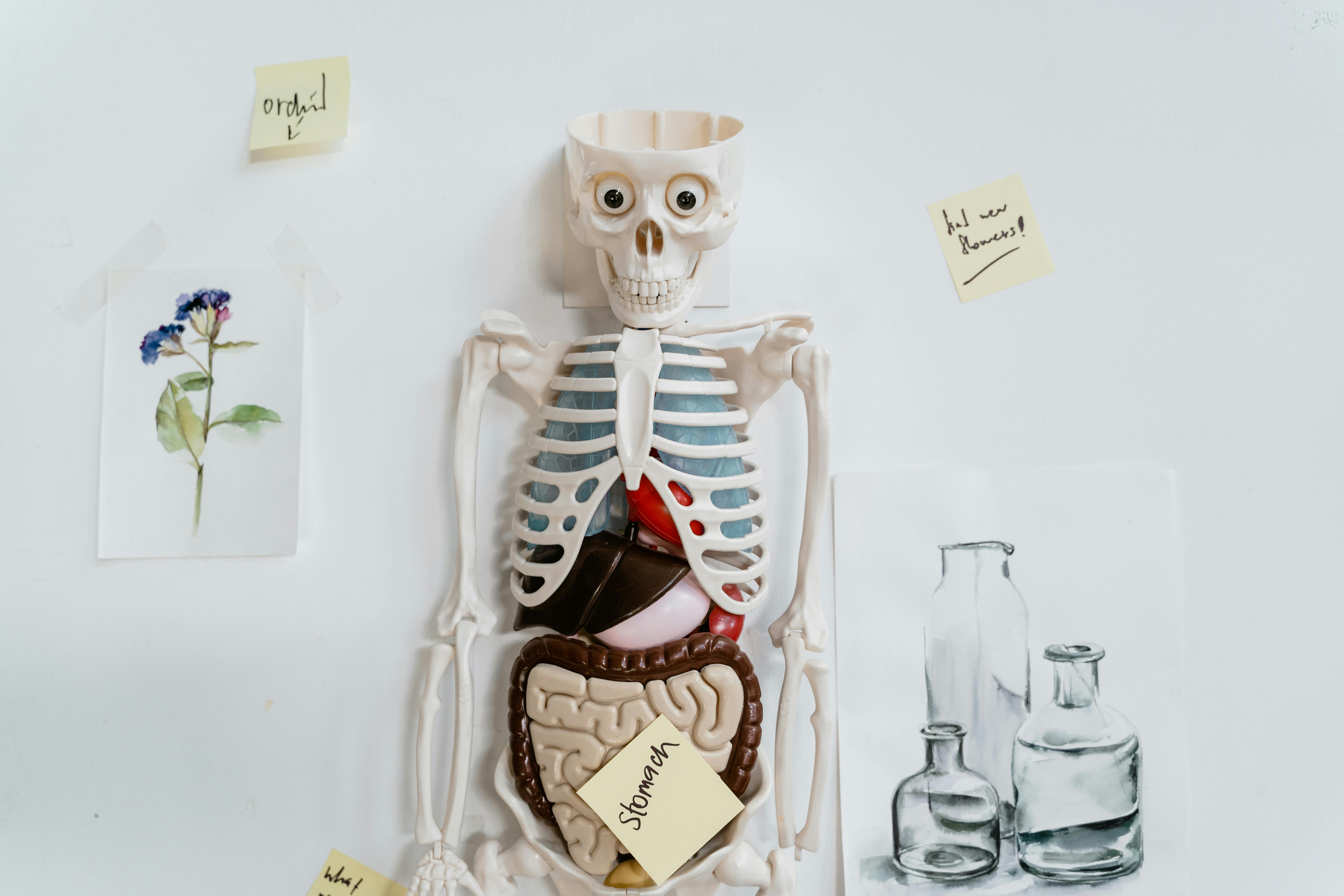Effective Meal Prep for the Carnivore Diet in 2025: Discover Our Top Tips!
