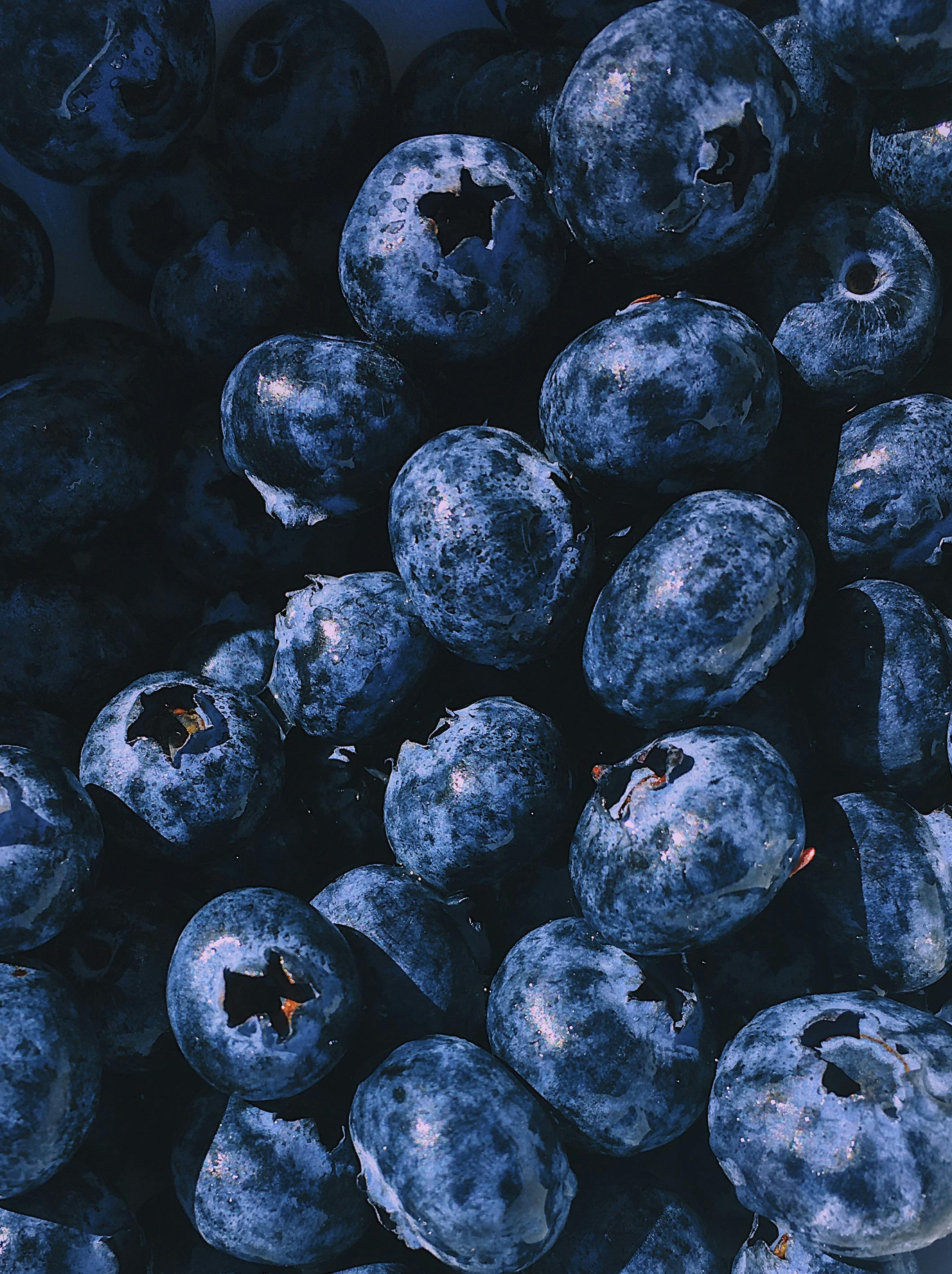Carnivore Diet Meal Plan