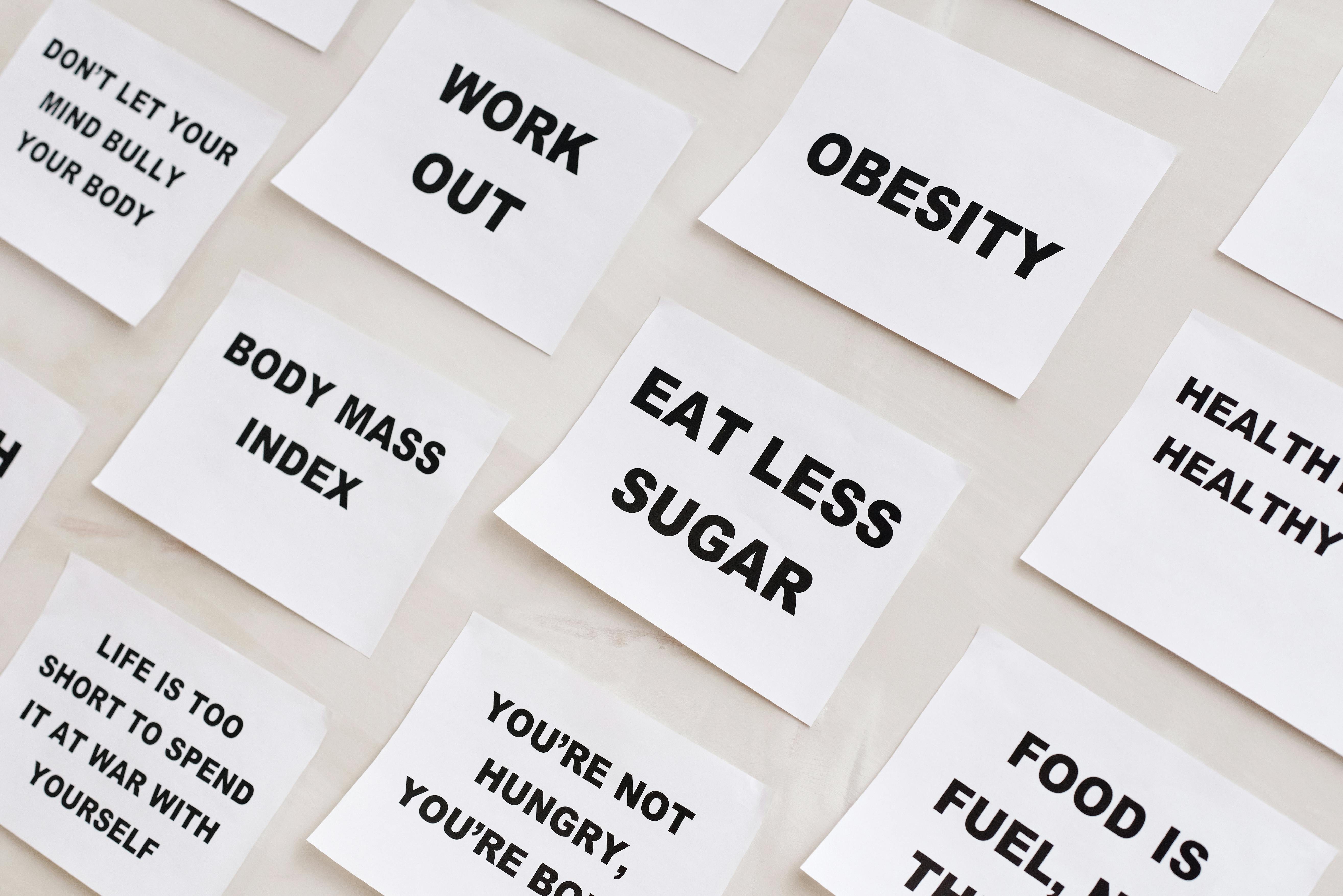 Effective Ways to Use a Mechanical Diet for Better Health in 2025