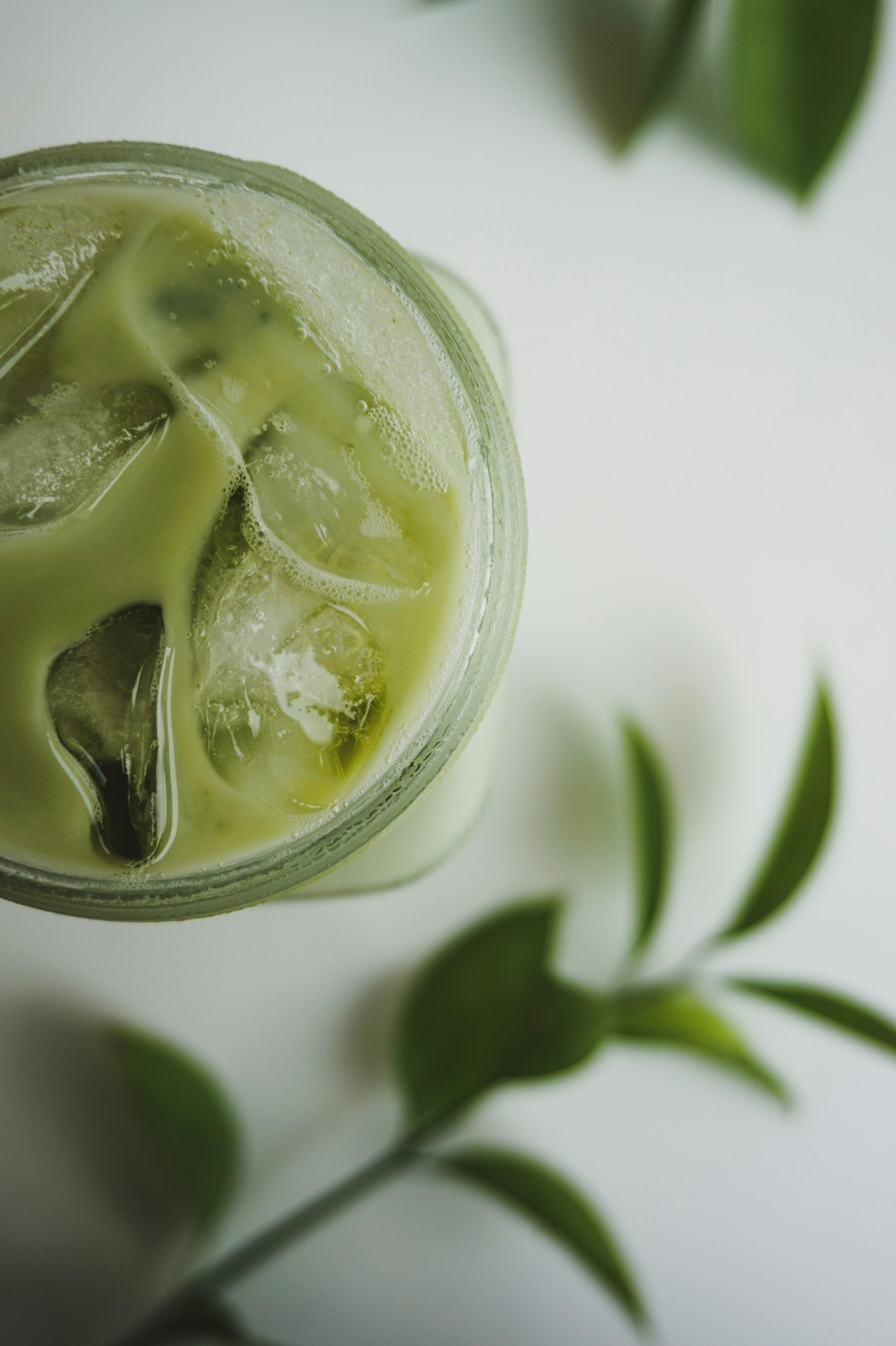 Explore the Best 7 Animals That Eat Eucalyptus in 2025