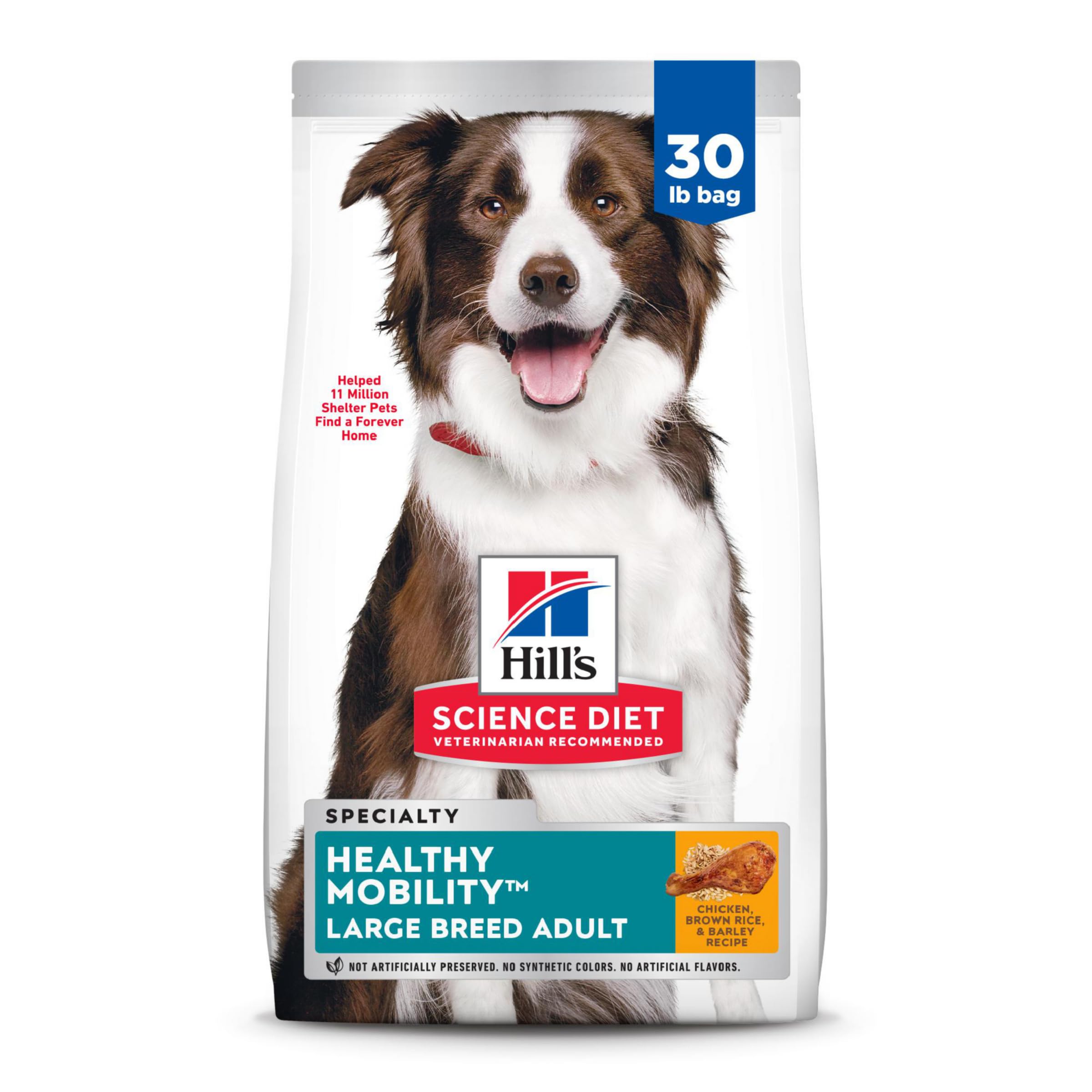 Science Diet Dog Food Options